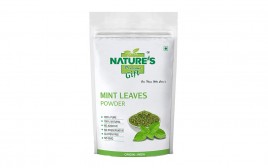 Nature's Gift Mint Leaves Powder   Pack  100 grams